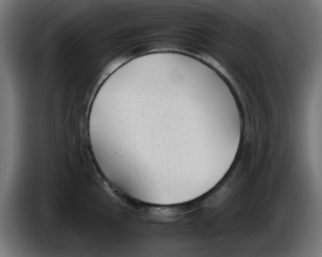 X0000086041145200704131929
