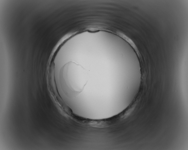 X0000086041146200704131929