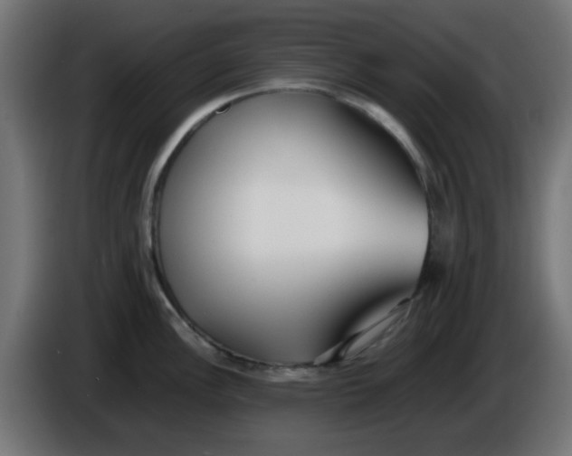 X0000086041148200704131929