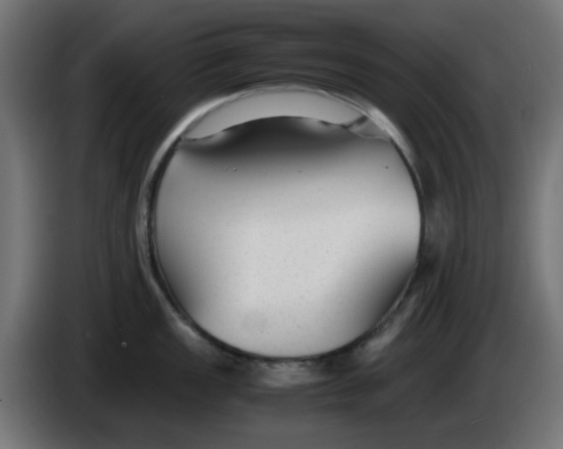 X0000086041149200704131929