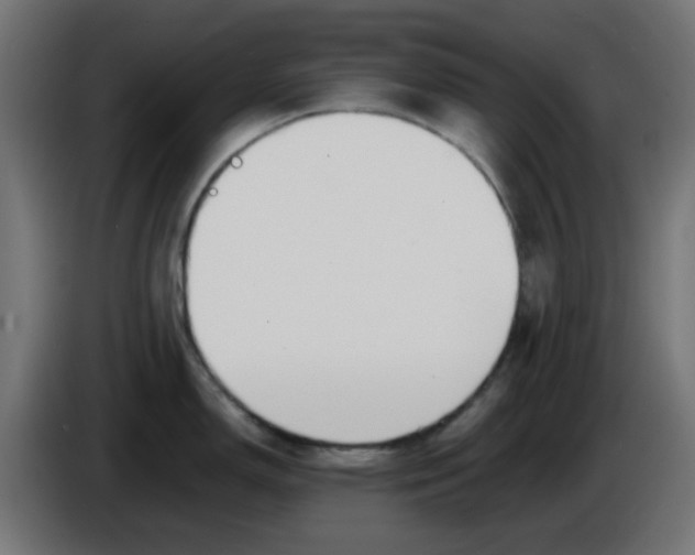 X0000086041150200704131929