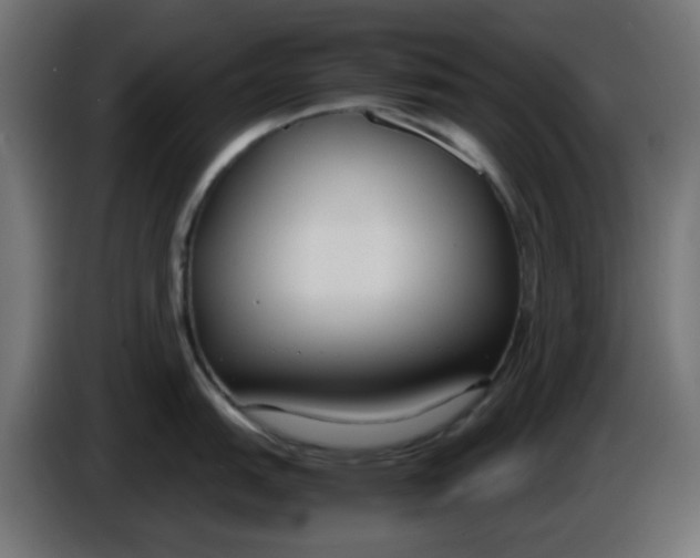 X0000086041151200704131929