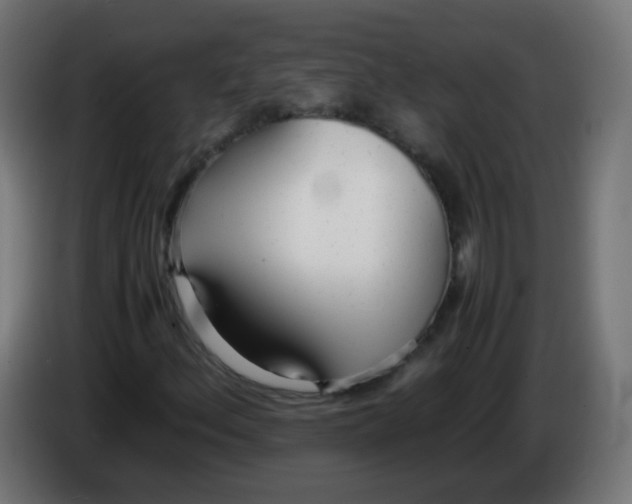 X0000086041156200704131928