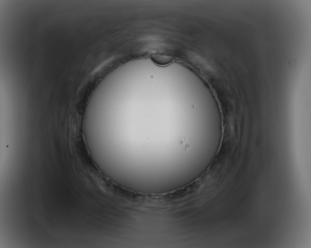 X0000086041158200704131928