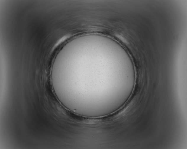 X0000086041163200704131928