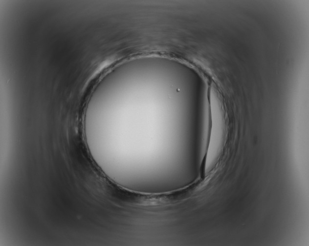 X0000086041165200704131928