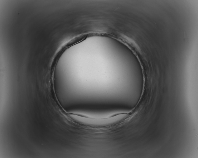 X0000086041168200704131928