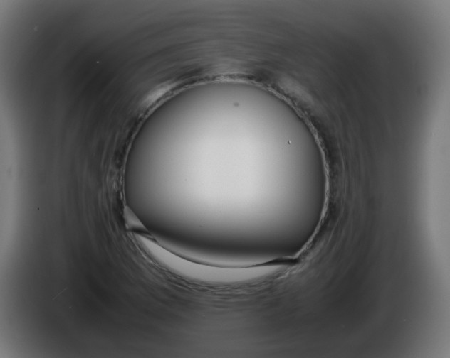 X0000086041169200704131928