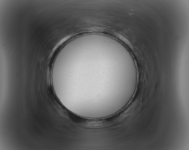 X0000086041171200704131928