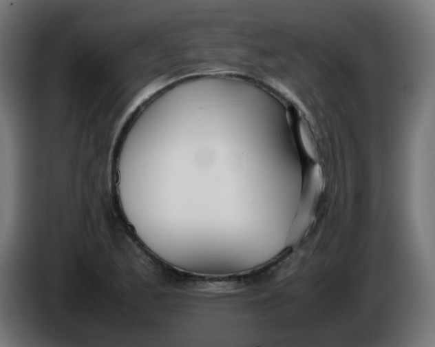 X0000086041173200704131928