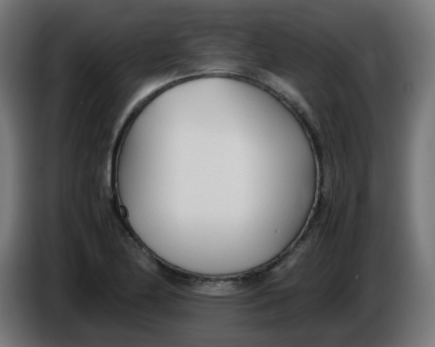 X0000086041174200704131928