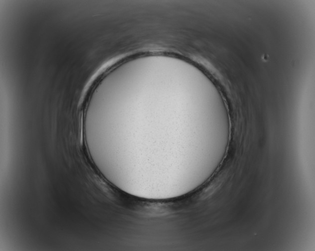 X0000086041175200704131928