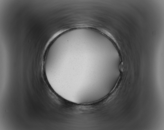 X0000086041179200704131928