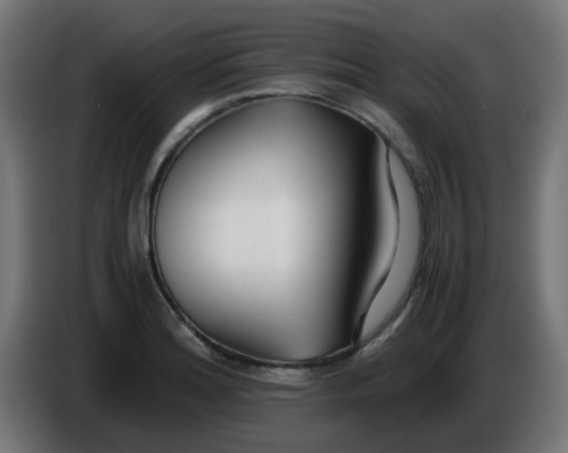 X0000086041180200704131928