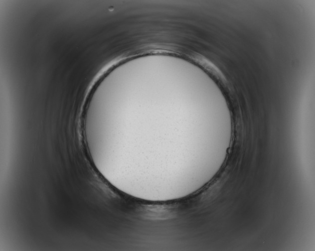 X0000086041182200704131928