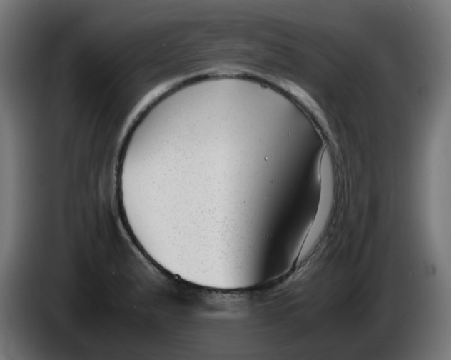 X0000086041183200704131928