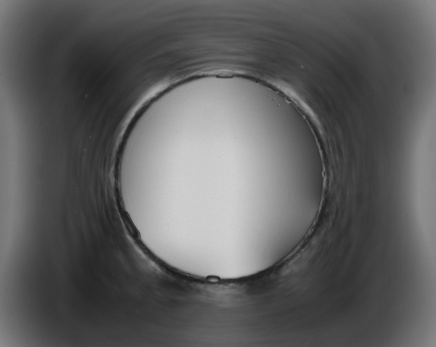 X0000086041189200704131928