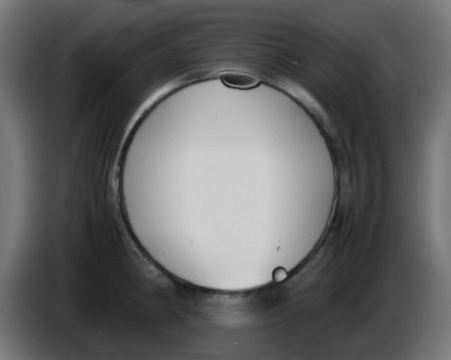 X0000086041190200704131928