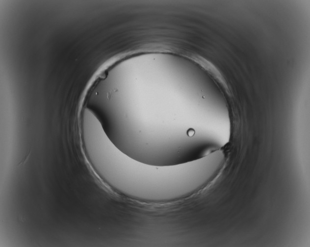 X0000086041192200704131928