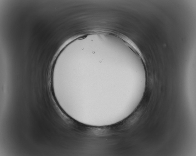 X0000086041195200704131928