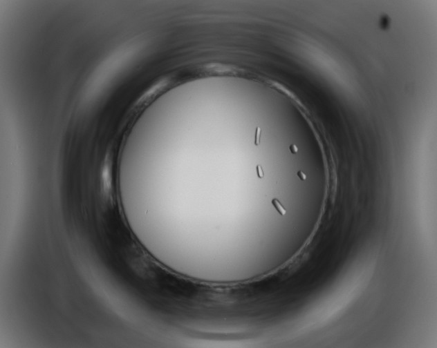 X0000086041198200704131928