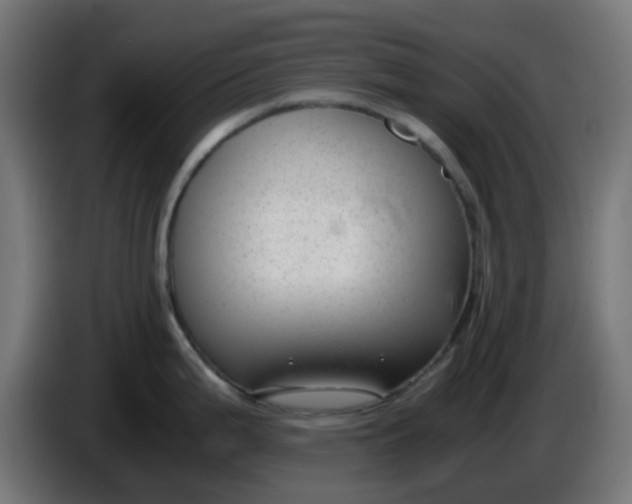 X0000086041199200704131928