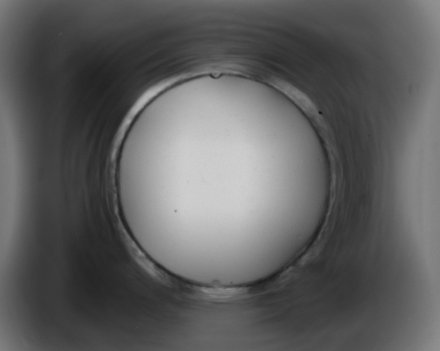 X0000086041200200704131928
