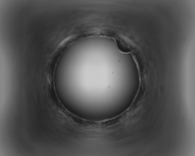 X0000086041206200704131927