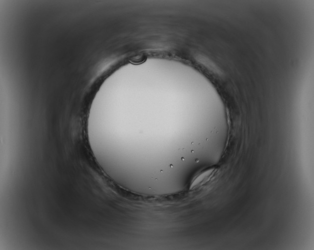 X0000086041208200704131927