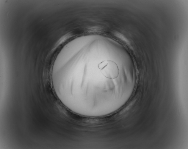 X0000086041211200704131927