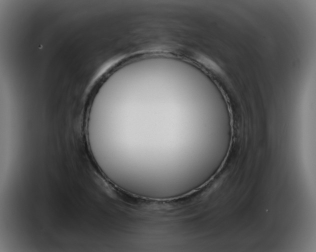 X0000086041216200704131927