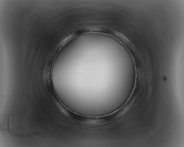 X0000086041225200704131927