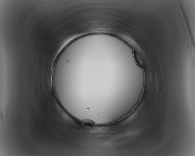 X0000086041228200704131927