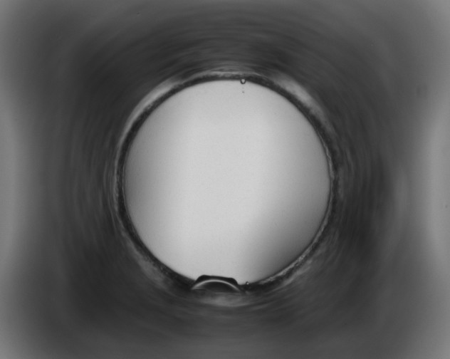 X0000086041229200704131927