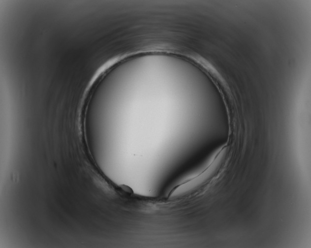 X0000086041230200704131927