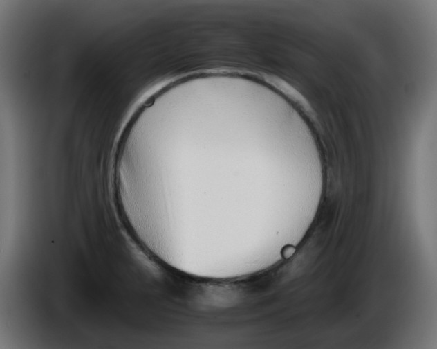 X0000086041231200704131927