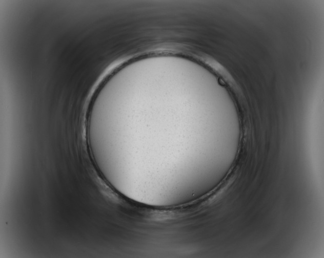 X0000086041232200704131927