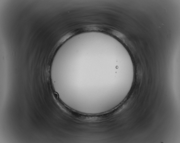 X0000086041233200704131927
