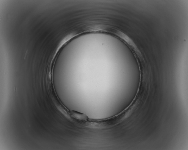 X0000086041234200704131928