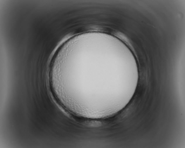 X0000086041235200704131928
