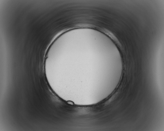 X0000086041236200704131928