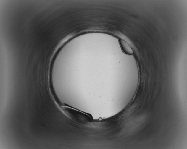 X0000086041237200704131928