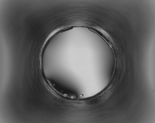 X0000086041238200704131928