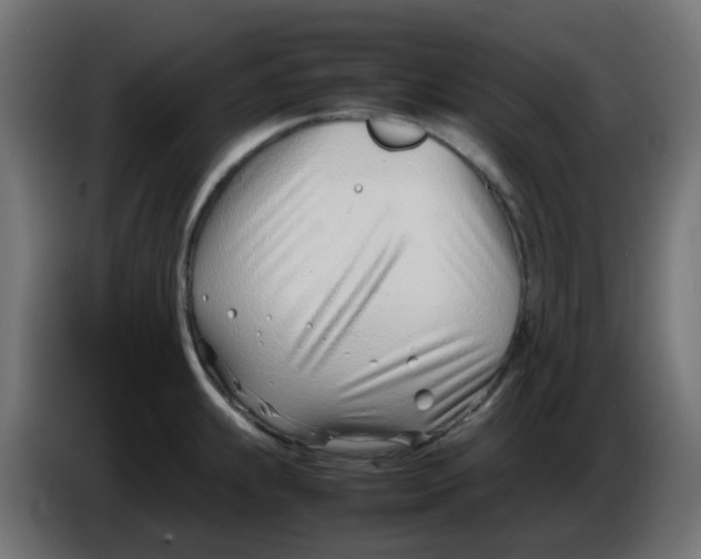 X0000086041239200704131928