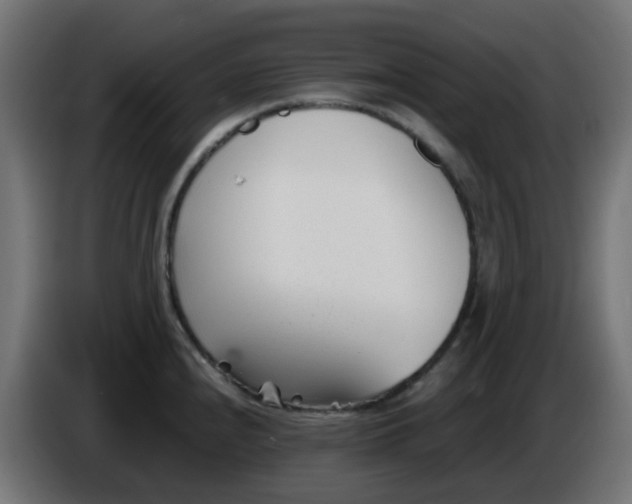 X0000086041240200704131928