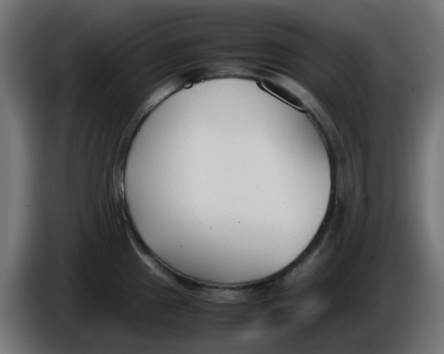 X0000086041241200704131928