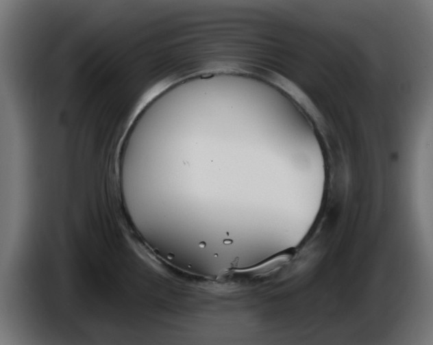 X0000086041242200704131928