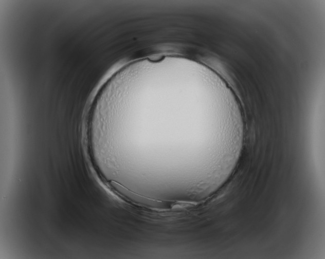 X0000086041243200704131928