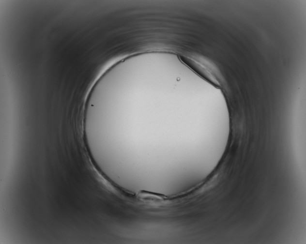 X0000086041244200704131928