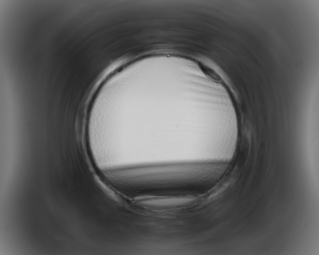 X0000086041245200704131928